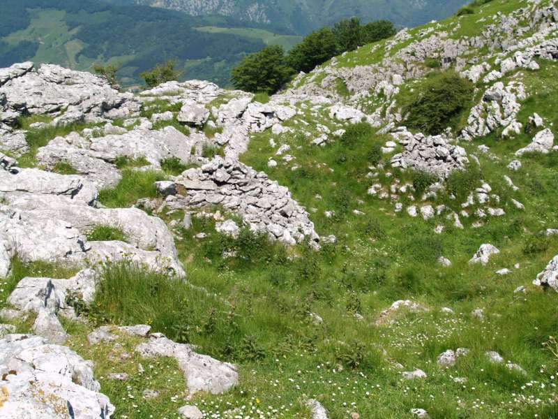 ANTIGUA CONSTRUCCION DE PASTORES